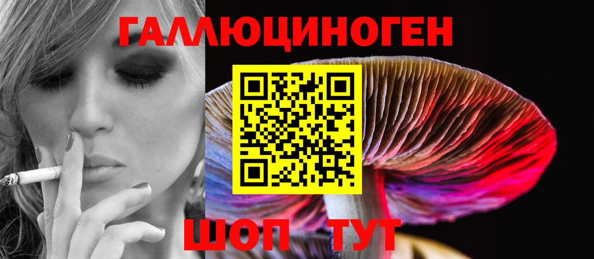 Галлюциногенные грибы Cubensis  Вход с VPN  Кострома 